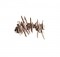 8hair6